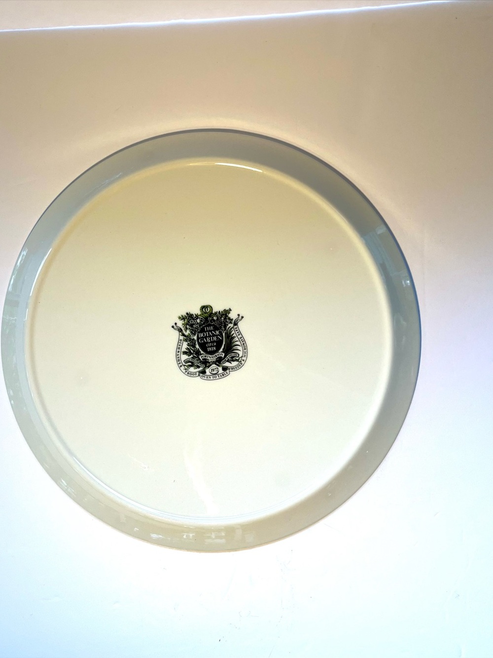 Portmeirion The Botanic Garden Serving Platter-Tray Susan Williams- Ellis 10.75" - Picture 6 of 7